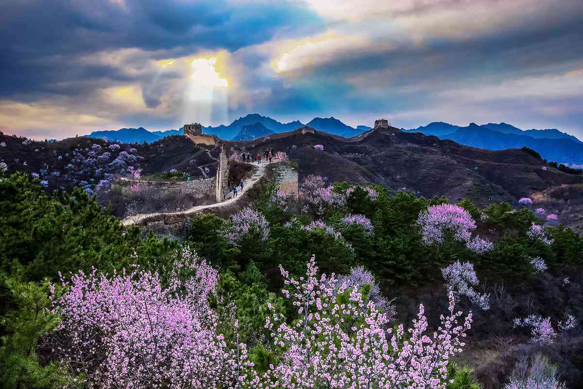 金山岭长城赏花线路