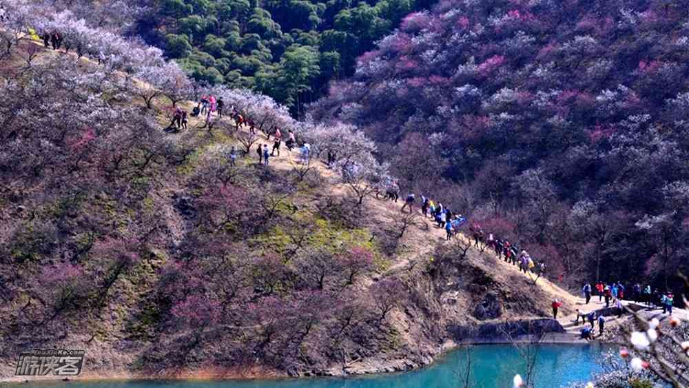 江苏春天哪里旅游最好