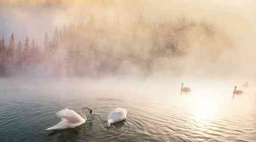 冬季新疆旅游可以去哪些地方？赛里木湖和天鹅泉值得去吗？