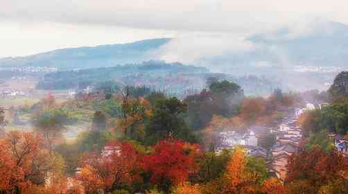 婺源石城红叶迷雾什么时候最美？