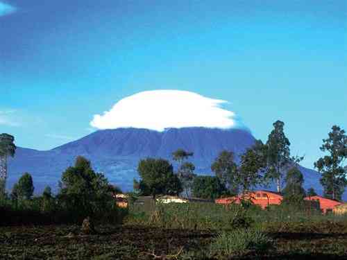 在卢旺达看火山看猩猩