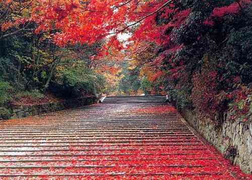 北京香山红叶什么时候最好看
