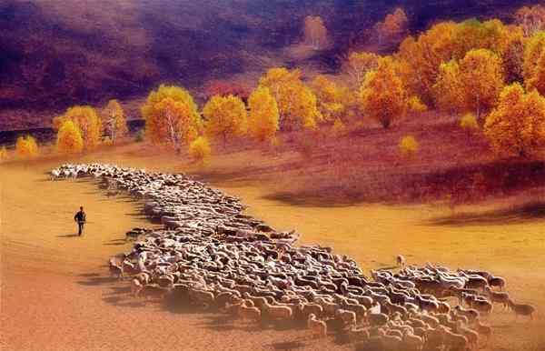 中国秋色最美草原—你所不知道的坝上草原腹地
