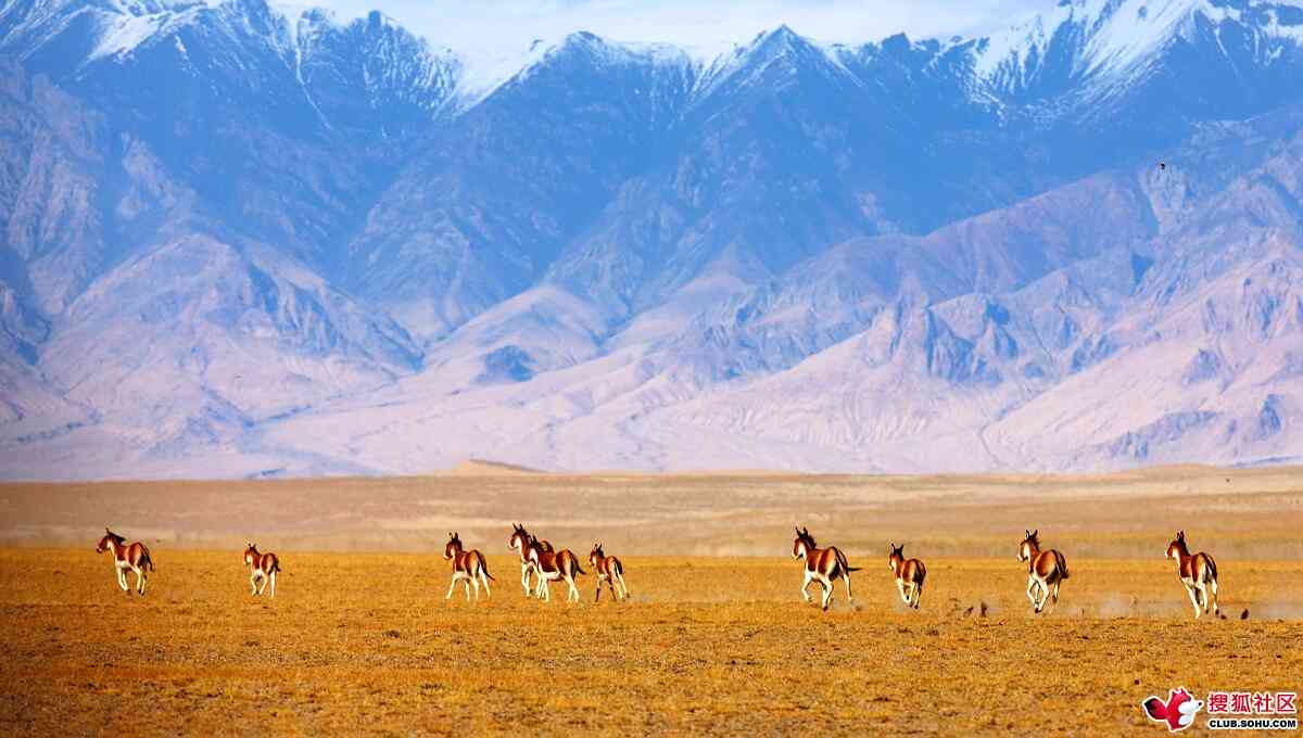 新疆的“中国之最”，震撼