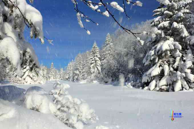 冬季拍雪哪里好？东北长白有雪岭