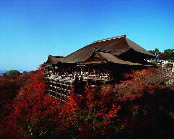 去京都旅游的注意事项