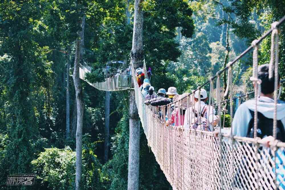 云南清明节旅游好去处