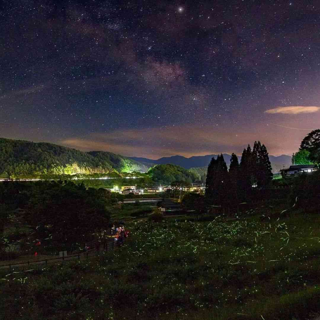 日本夏季哪里萤火虫好看？日本萤火虫胜地有哪些