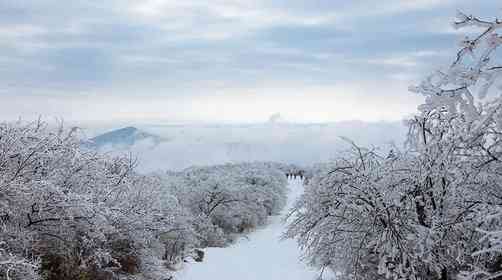 龙王山雪景什么时候有？徒步登顶难度大吗？