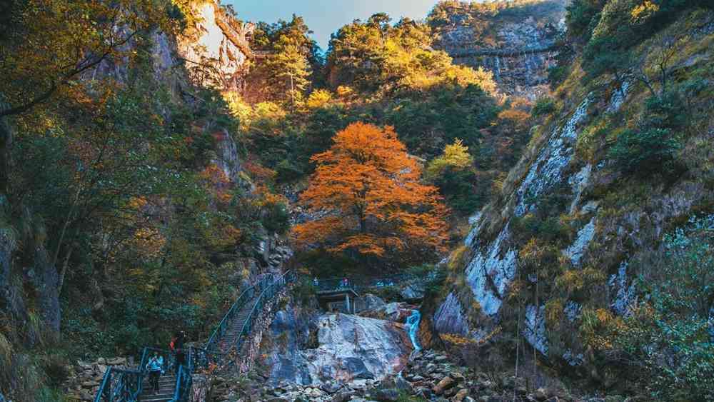 大明山好玩吗？大明山游玩攻略