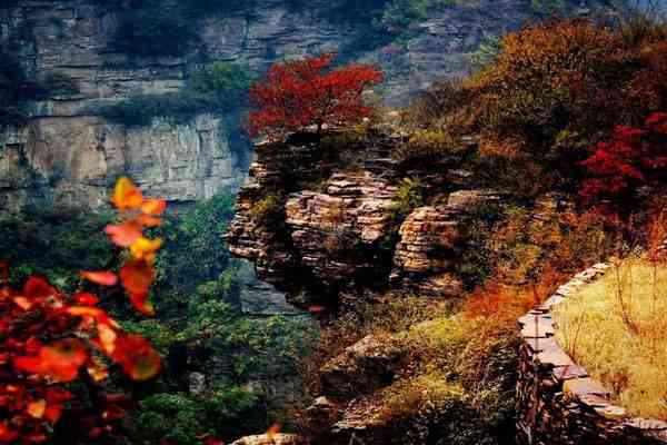 太行山——把最美的季节留给了秋天