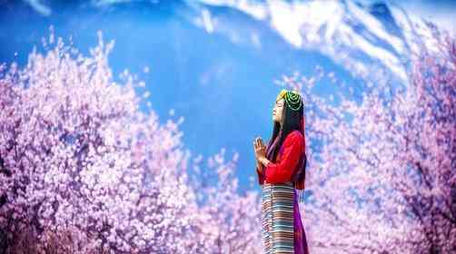 要不要去西藏，赴一场桃花之约，西藏桃花都分布在哪里？