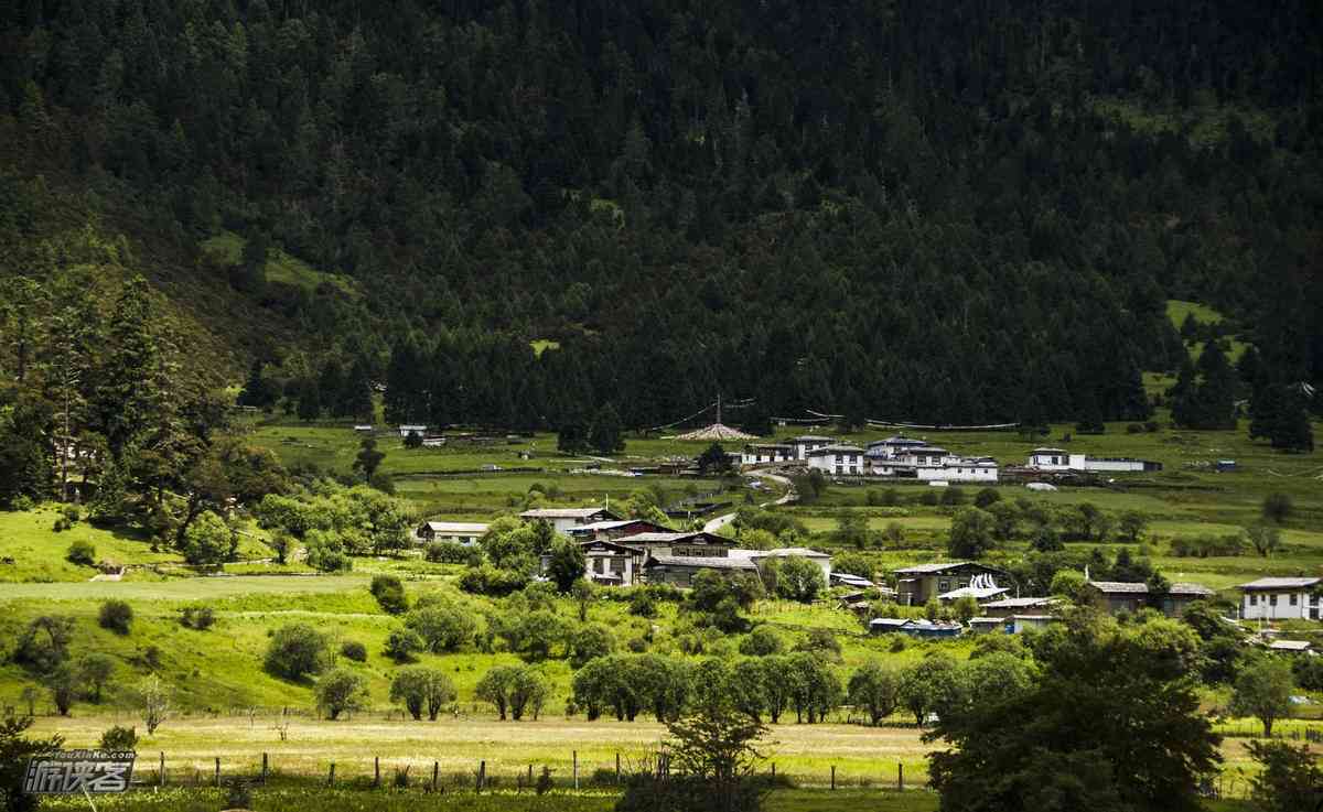 西藏鲁朗旅游几月最合适？鲁朗林海值得去吗？