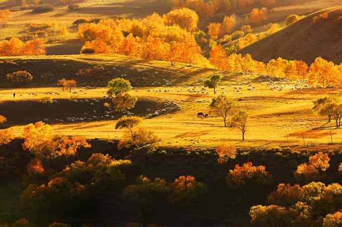 中国秋色最美草原—你所不知道的坝上草原腹地