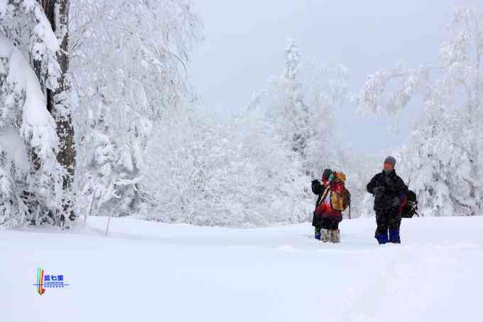 冬季拍雪哪里好？东北长白有雪岭