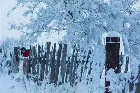 呼伦贝尔藏了个中国最冷小村庄，这里的冬天比北欧还美