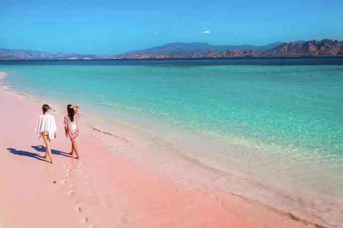 小众海岛科莫多岛，不用去巴哈马就可以看的粉色沙滩科莫多岛