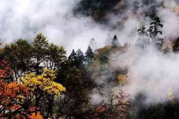 四川赏枫叶最全指南