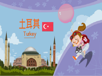土耳其电子签证申请流程？