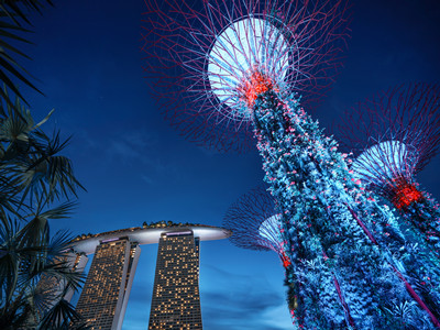 新加坡签证可以自己办理吗？需要什么材料？