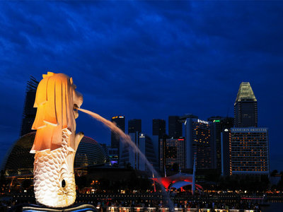 新加坡签证必须本人去提交材料吗？