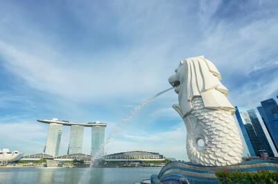 新加坡商务签证的有效期和停留期是固定的吗？