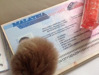 办理马来西亚电子签证流程是什么？