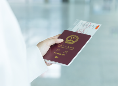 护照是办理签证中不可缺少的证件吗？