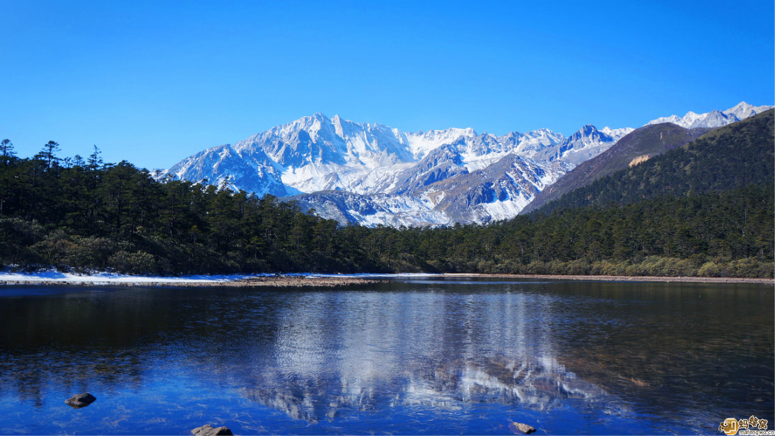 雅家情海