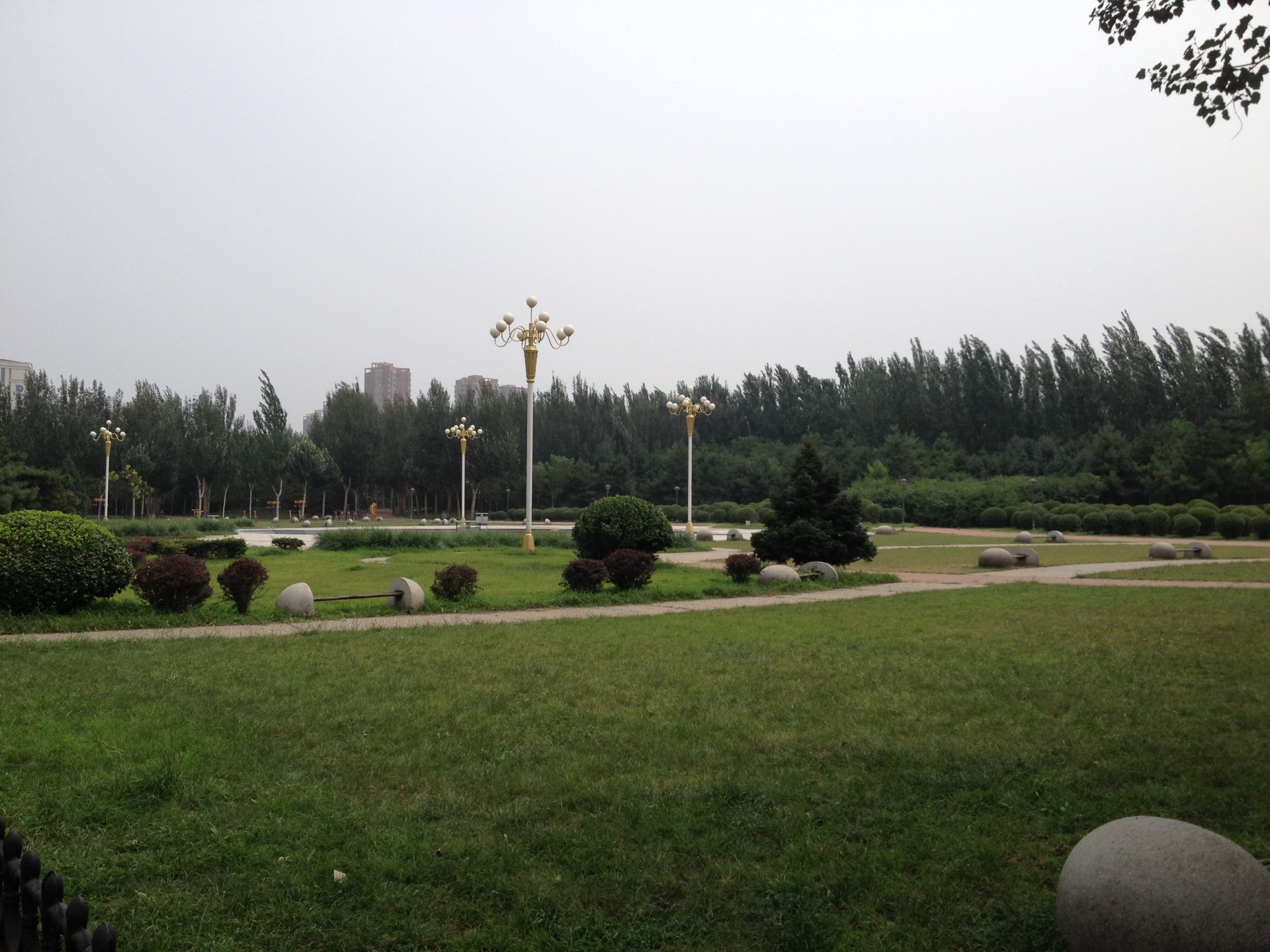 龙王庙公园