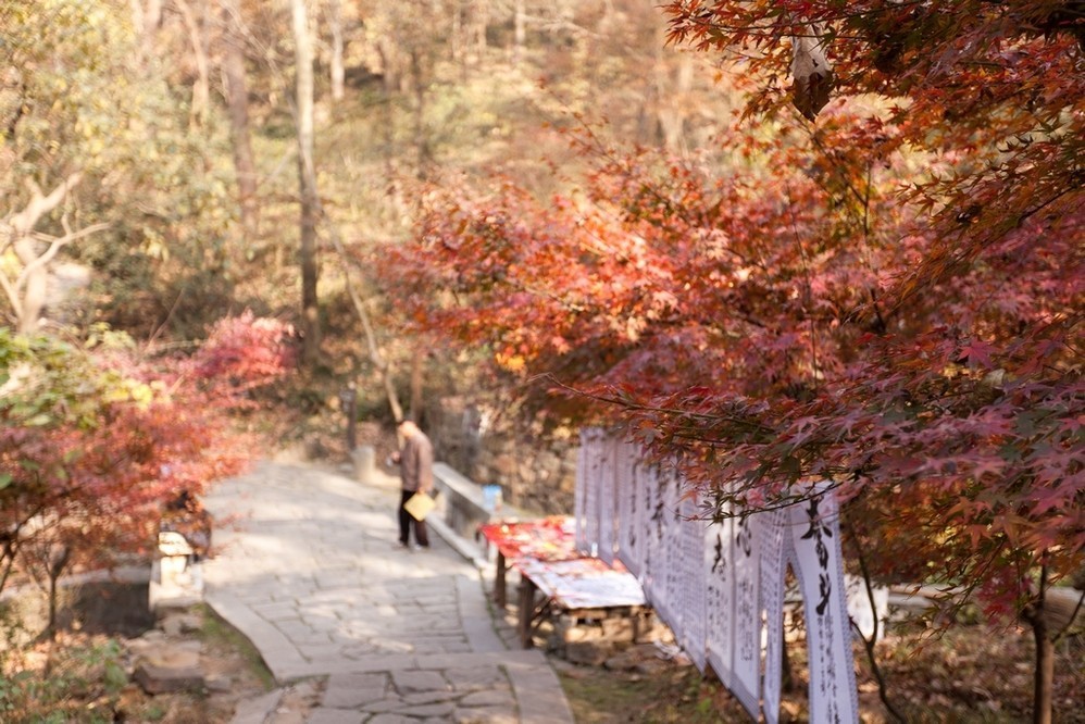 栖霞山