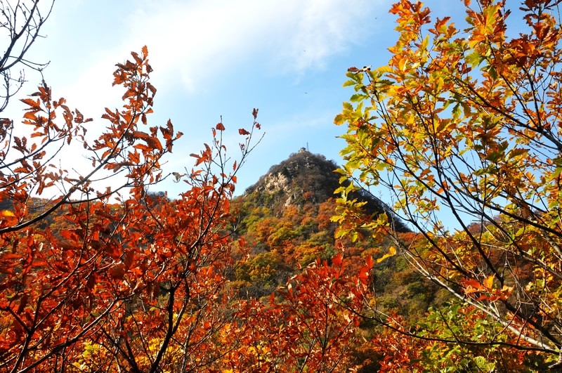 八仙山自然保护区