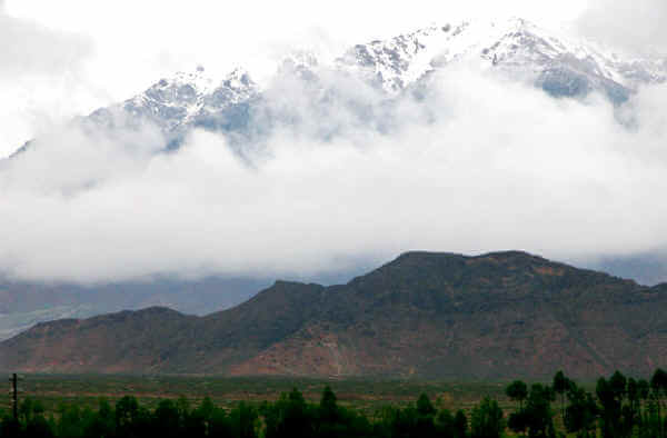 柏树山