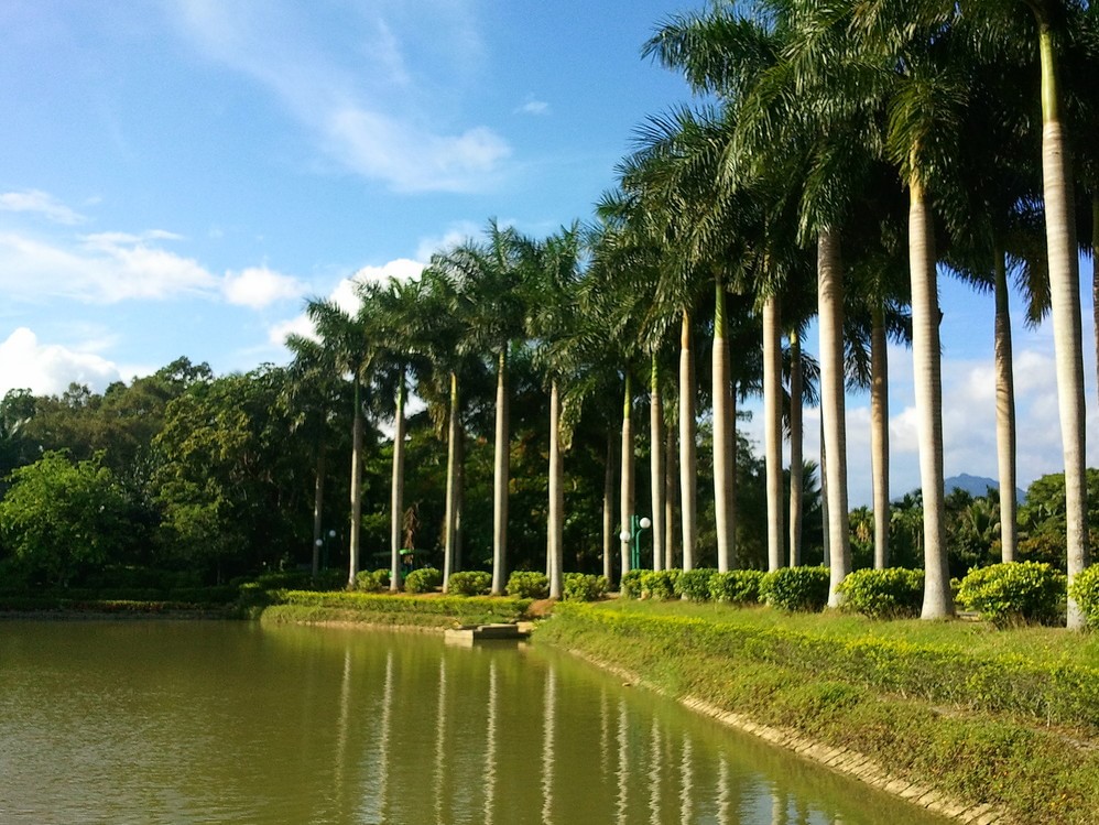 万宁兴隆热带植物园