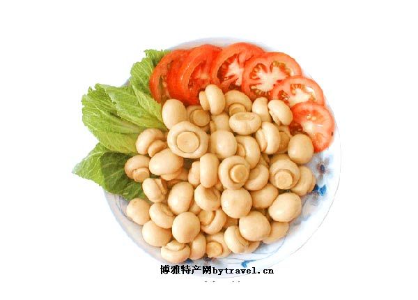 食用菌“蘑菇”