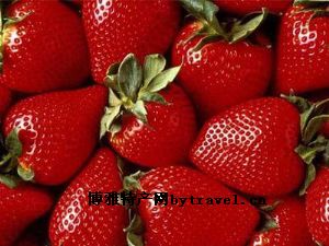蚌埠草莓