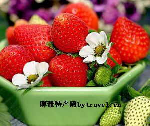 禹会草莓