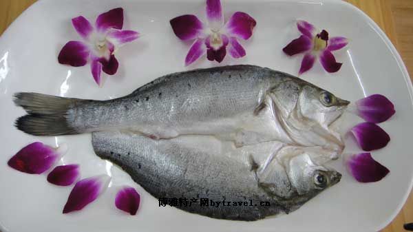 莱州湾鲈鱼