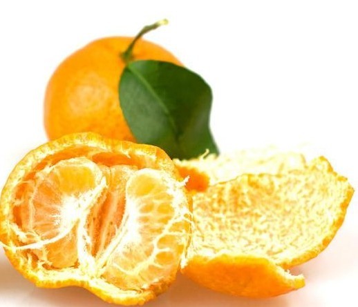 宜昌柑橘