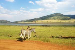 新奇自然 南非全新8天经典之旅、南非旅游价格
