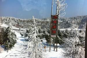 重庆到仙女山滑雪一日游，重庆到仙女山滑雪一日游报价