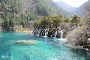 乌市出发去四川经济游--九寨沟黄龙峨眉乐山双飞8日游