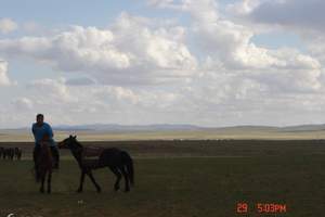 草原沙漠成吉思汗陵三日游|江西到内蒙古大草原旅游