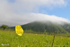 淄博包机到海拉尔旅游 淄博到呼伦贝尔草原、满洲里口岸双飞4日