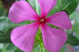 广州周边休闲度假农庄介绍|广州到平沙岛叮叮缘庄园一天游