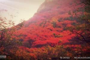 2014年光雾山红叶什么时候最漂亮 成都去巴中光雾山红叶3天