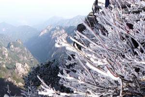 爱山水－绍兴到黄山观日出品质二日游（住山上双标间）