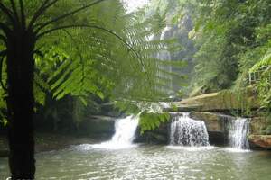 清明节成都去蜀南竹海 圣灵山大溶洞美食观光2日游团购价格