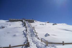 重庆到达古冰川旅游_重庆到达古冰川旅游团购_达古冰川三日游