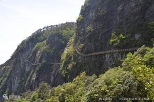 长沙到明月山、矿疗温泉汽车两日游（周六发团）